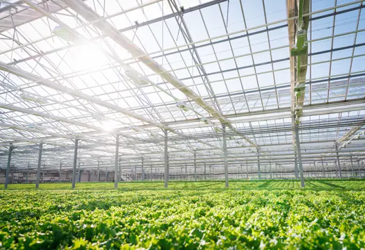 Svegros växthus på Färingsö