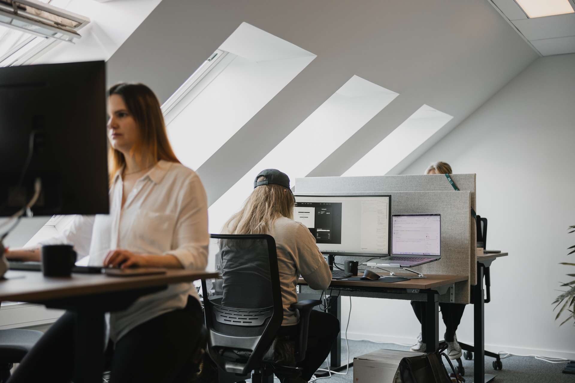 Toxic GBG Bildbank 240424 LOW 52