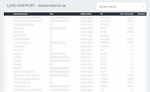 Lead-rapport exempel